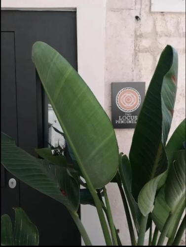 Locus Pendinelli Trani Room Type - Apartment - Ground Floor