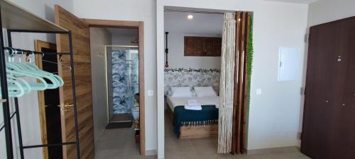 One-Bedroom Apartment image 10
