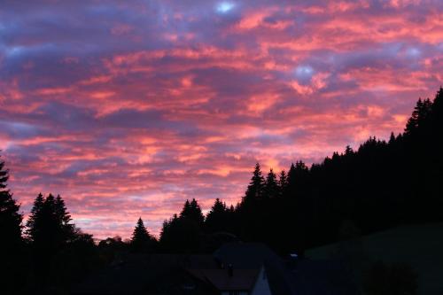 Gasthof Schwarzwaldtanne