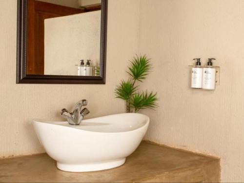 Kubu Bush Lodge Kubu Bush Lodge