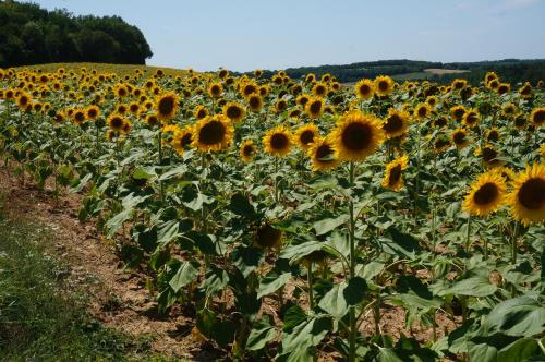 Gite Les Volets Bleus du Segur