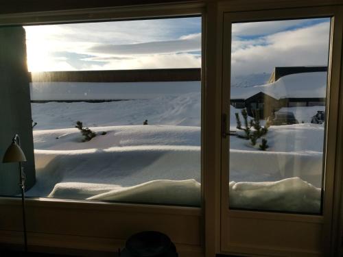 Stor barnevennlig leilighet
