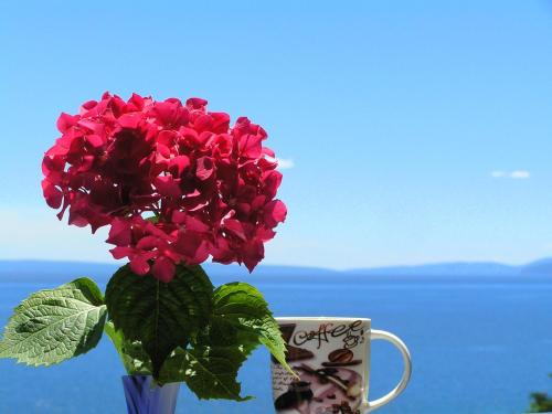 Accommodation in Opatija