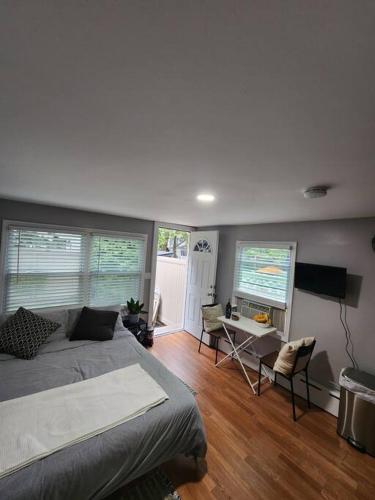 Cozy studio in a lovely area in Forest Hills, USA