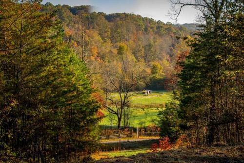 Cozy Cabin: w/ Balcony, Pool Table, Fire pit & BBQ in Mineral Bluff, USA