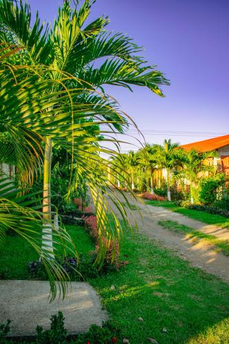 Arenal Descanso, Fortuna (photo 4)
