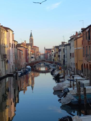 One-Bedroom House room in Piccola Venezia