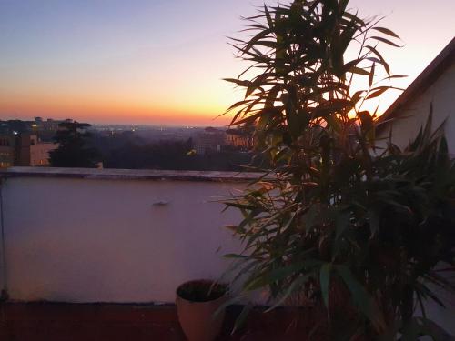 Appartamento La Terrazza di Giacinta, Rome (photo 4)