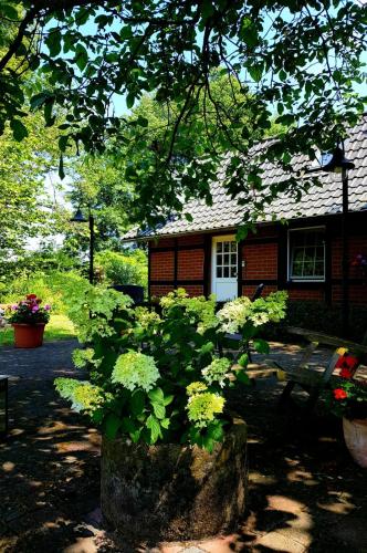 Münsterland Cottage - Saerbeck