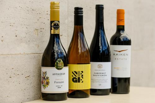 Lumen Gasztropanzió