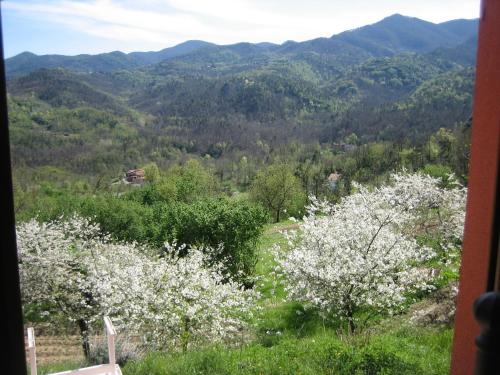 Agriturismo Casalino