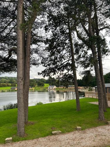 8 lakeview 8 lakeview