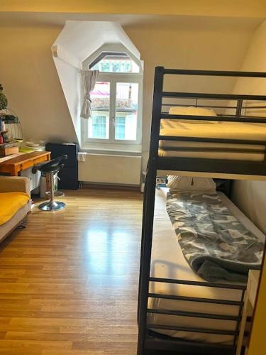 Apartment near Central Station, Zürich (photo 3)