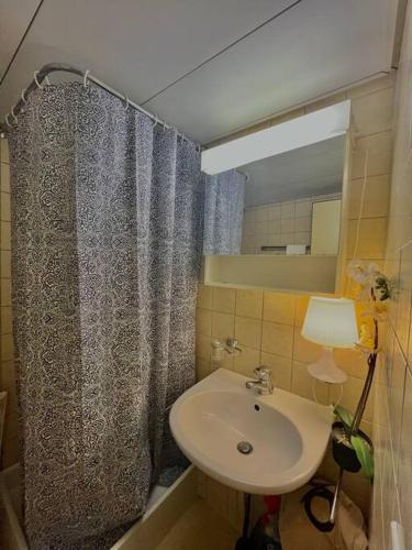 Apartment near Central Station, Zürich (photo 4)