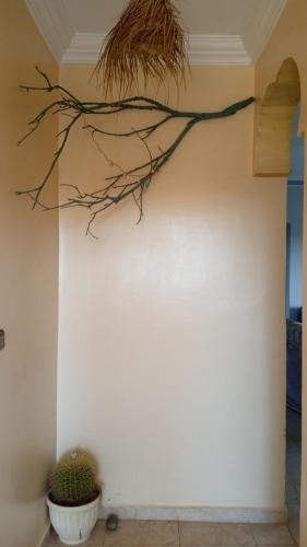 Villa Rabia Villa Rabia