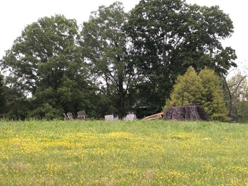 The Poets House, Luxury and Solitude on 100 acres in Lewisville, USA