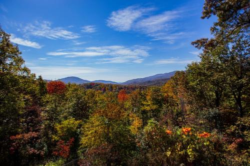 Sterling Retreat Pet Friendly, Hot Tub & Mountain Views! in Black Mountain, USA