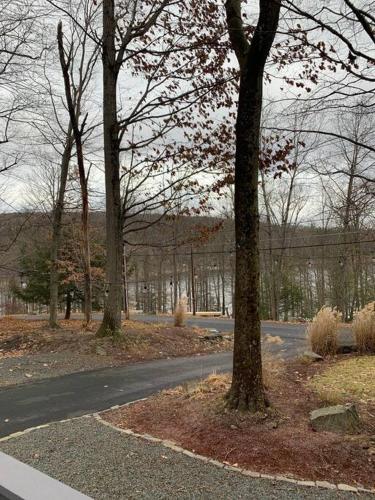 Lake Access with a View! Lake Wallenpaupack . in Greentown, USA
