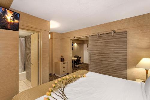 Ocean Beach Palace - image 6
