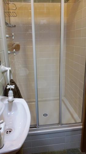 Glenhope Alpaca Farm Suites格伦霍普羊驼农场套房住宿加早餐旅馆图片