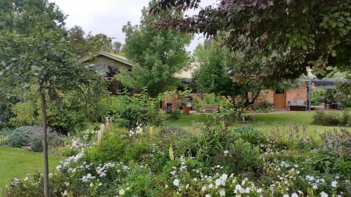 Glenhope Alpaca Farm Suites格伦霍普羊驼农场套房住宿加早餐旅馆图片