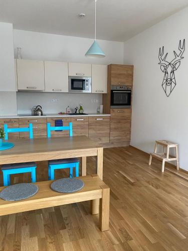 Konyha, Apartman Jelen in Destne V Orlickych Horach