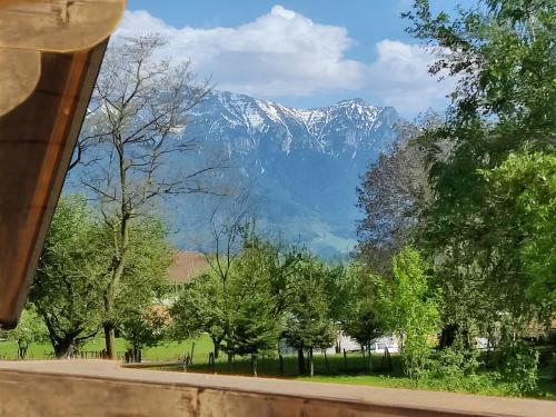 Ara Chalet, Bran (fotografie 4)