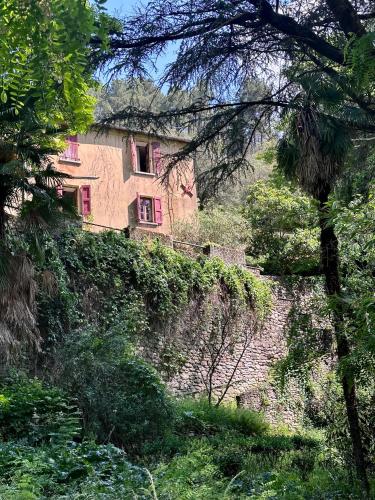 Mas cévenol bord de rivière piscine naturelle gîte à louer Molezon