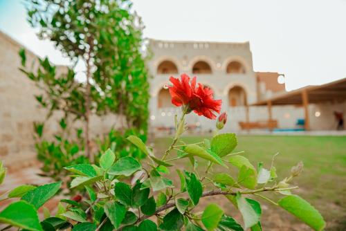 كمبوند قرية تونس, Tunis (fotografie 9)