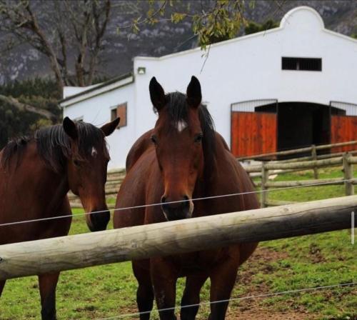 The Glen Swellendam