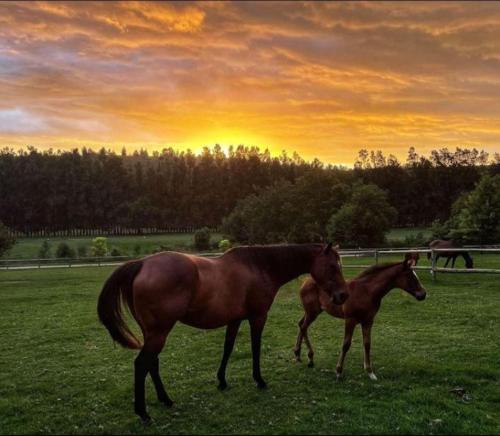 The Glen Swellendam