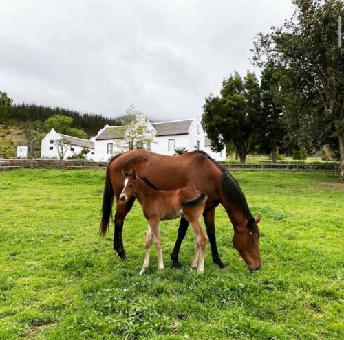 The Glen Swellendam