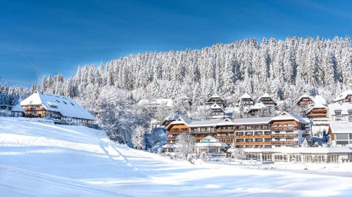 Hotel Kesslermühle - Hinterzarten