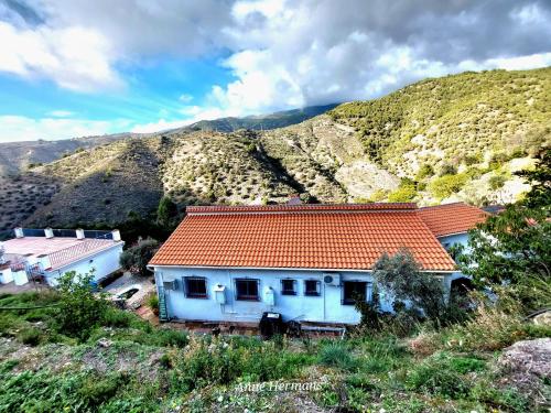 Finca Floretta - Accommodation - Canillas de Albaida