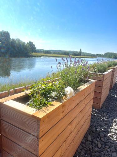 Tiny House mit Sauna - am Main