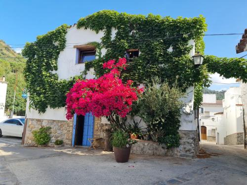 Casa La Yedra by CasaTuristica