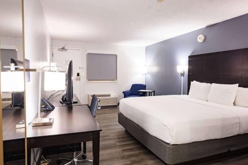 King Room - Non-Smoking room in La Quinta Inn & Suites by Wyndham Tampa-Near Busch Gardens