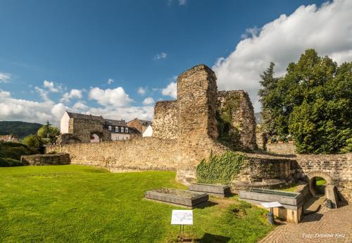 RHEIN-SUITES BOPPARD