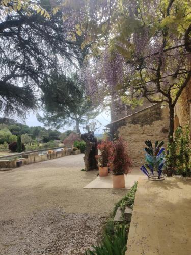 Charme et authenticité dans une ferme. - Location saisonnière - Lourmarin