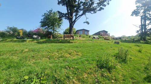 Two Bedroom Lodge In The Country - Owl, Peacock & Meadow