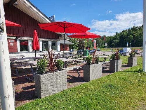 Rasta Grums in Åshammar