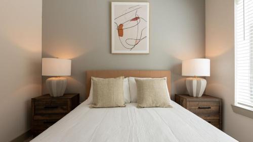 Landing Modern Apartment with Amazing Amenities ID1514X07 in Austin, USA