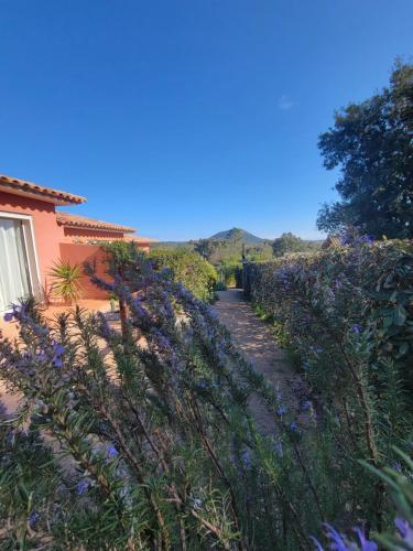 A Vigna Vecchia Chambre D'hotes – Porto Vecchio, DC