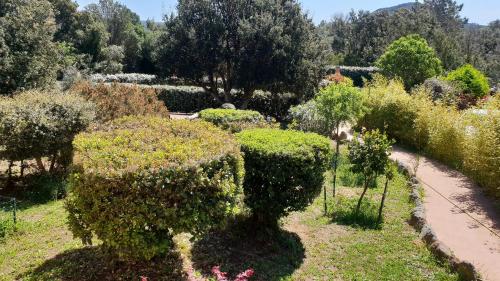 A Vigna Vecchia Chambre D'hotes – Porto Vecchio, DC