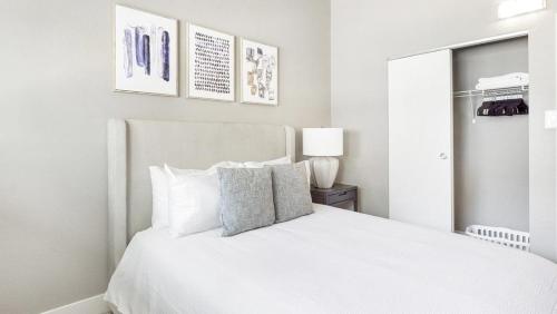 Landing Modern Apartment with Amazing Amenities ID6199X15 in Longmont, USA