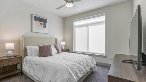 Landing Modern Apartment with Amazing Amenities ID8459X09 in San Antonio, USA