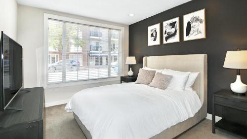 Landing Modern Apartment with Amazing Amenities (ID1176X943) in Norfolk City Center