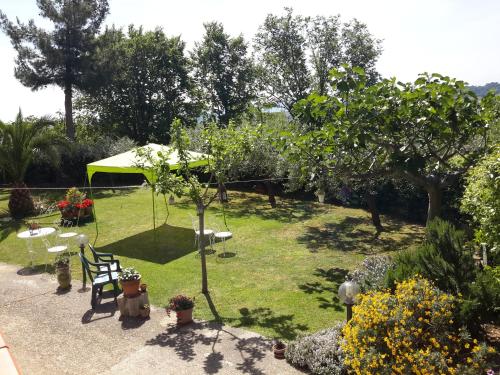 B&B L'Albero Di Antonia - 전망