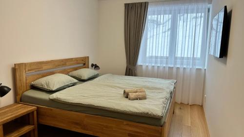 Apartmán Krakonoš 431