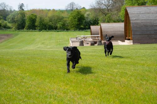 Sedgewell Barn